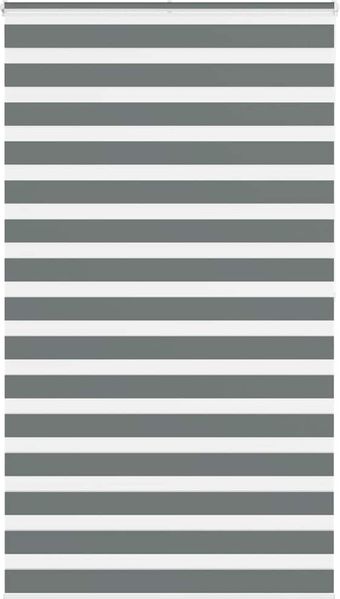 vidaXL Doppelrollo Dunkelgrau 125x200 cm Stoffbreite 120,9 cm Polyester 4014162