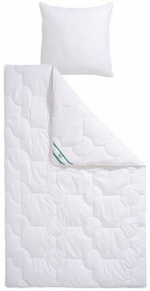 f.a.n. Frankenstolz Texas Microfaser-Steppbett Duo-Steppbett 200x200 Bild 4