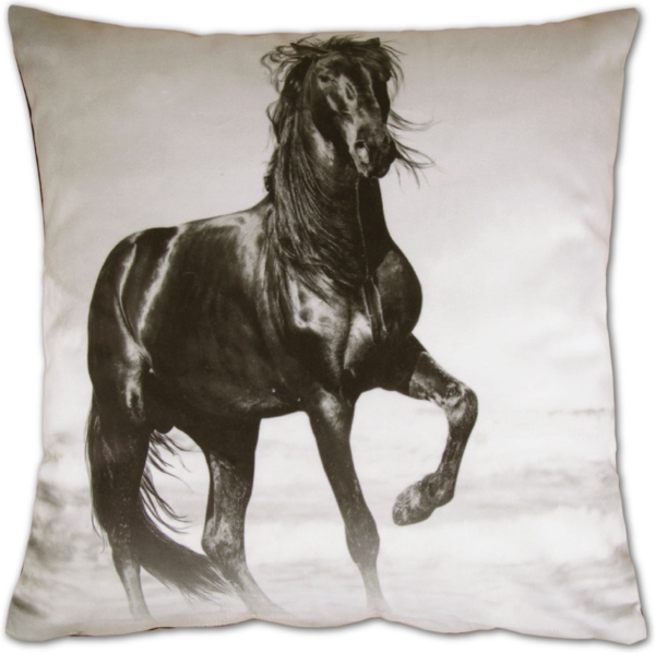 Bestlivings Kissenbezug Fotodruck Motiv in 40x40 cm, Flauschig weiche Kissen-Hülle in vielen Motiven erhältlich ( Design: Pferd ) Bild 2