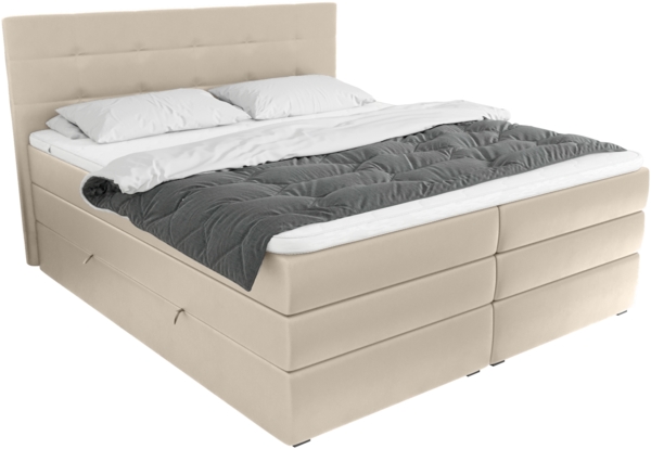 99rooms Dante Boxspringbett Kunstleder MADRYT Champagner Bonell-Federung 160x200 cm Bild 4