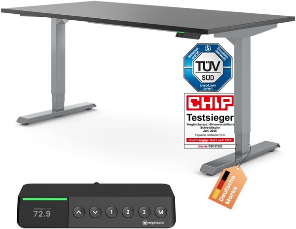 Desktopia Pro X - Elektrisch höhenverstellbarer Schreibtisch / Ergonomischer Tisch mit Memory-Funktion, Schwarz, Gestell Grau, 120x80 cm