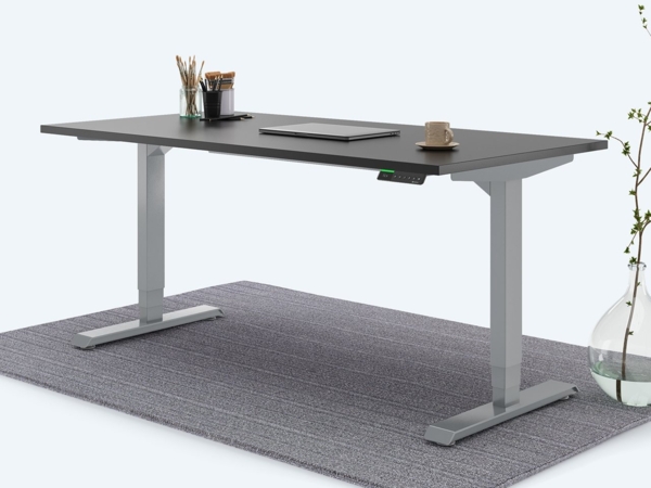 Desktopia Pro X - Elektrisch höhenverstellbarer Schreibtisch / Ergonomischer Tisch mit Memory-Funktion, Schwarz, Gestell Grau, 120x80 cm