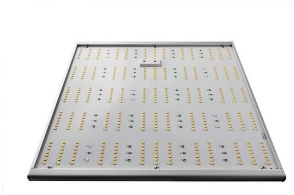 LED Grow Lampe 150 W, 38 x 38 x 7 cm, Pflanzenlampe