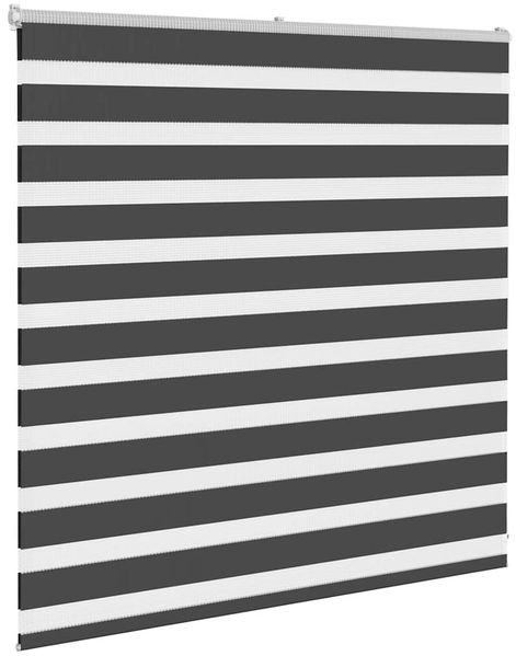 vidaXL Doppelrollo Schwarz 150x100 cm Stoffbreite 145,9 cm Polyester 4014219 Bild 3