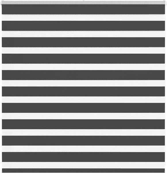 vidaXL Doppelrollo Schwarz 150x100 cm Stoffbreite 145,9 cm Polyester 4014219