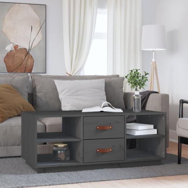 Couchtisch Grau 100 x 50 x 41 cm Massivholz Kiefer [818272]