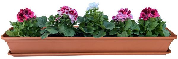 Blumenkasten Balkonkasten Pflanzkasten Terracotta mit Bewässerungssystem und Untersetzer 80 oder 100cm