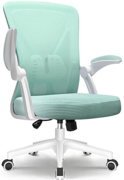 Adormii Bürostuhl Bürostuhl mit klappbaren Armlehnen,Ergonomischer Bürostuhl (Drehstuhl 360° mit Höhenverstellbarer Lendenwirbelstütze,Verstellbarer gepolsterten Armlehnen,Wippfunktion bis 125°,geräuscharmen Rollen,Höhenverstellbar), Atmungsaktiver Net...