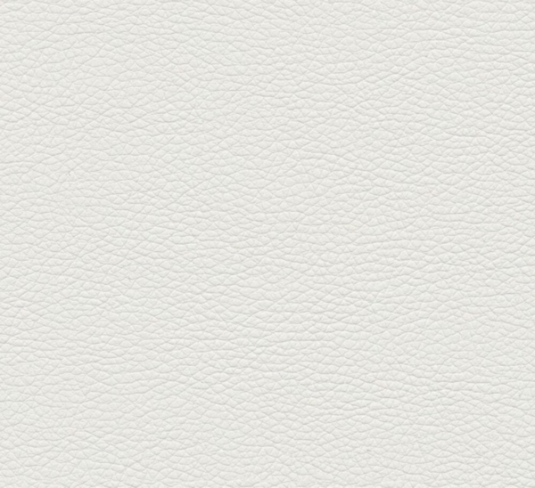 99rooms Rosemarie Polsterbett Kunstleder SOFT Weiß 180x200 cm ohne Bettkasten Bild 4