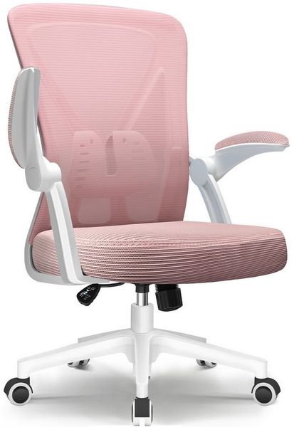 Adormii Bürostuhl Bürostuhl mit klappbaren Armlehnen,Ergonomischer Bürostuhl (Drehstuhl 360° mit Höhenverstellbarer Lendenwirbelstütze,Verstellbarer gepolsterten Armlehnen,Wippfunktion bis 125°,geräuscharmen Rollen,Höhenverstellbar), Atmungsaktiver Net...