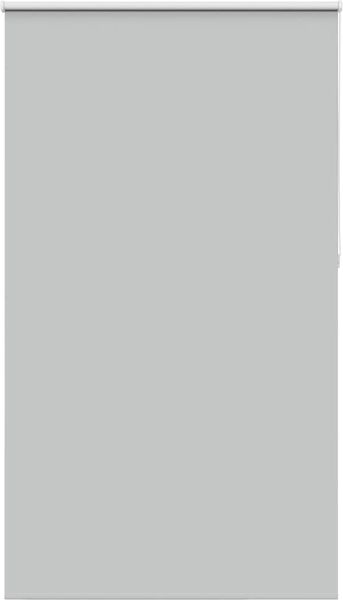 vidaXL Verdunkelungsrollo Hellgrau 135x230cm Stoffbreite 131,6cm 4011473
