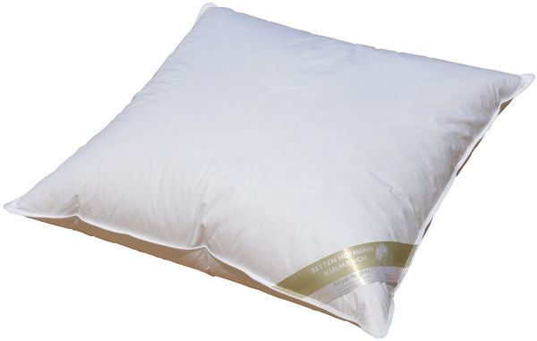 Hofmann Bayern Kissen Kopfkissen 60x60 cm Federkissen 30% Daunen 550g