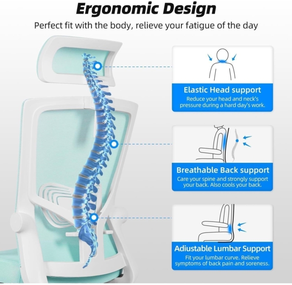Daccormax Bürostuhl Ergonomisch mit Verstellbarer Bild 4