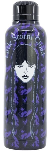 Wednesday Isolierte Edelstahl Trinkflasche Thermotrinkflasche 515 ml