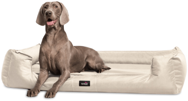 tierlando® Tierbett tierlando® Orthopädisches Hundebett GOOFY >> inkl. Matratzenschoner <<, Matratzenschoner inklusive