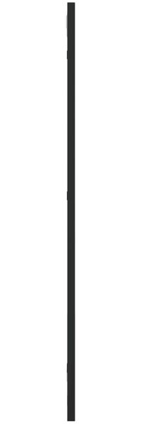 vidaXL Wandspiegel, Metall schwarz, 30x80 cm Bild 4