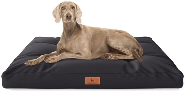 Knuffelwuff Hundematte Hundekissen Gatsby, Wasserabweisend Bild 5