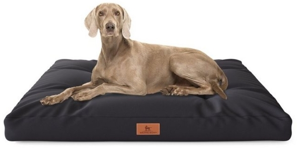 Knuffelwuff Hundematte Hundekissen Gatsby, Wasserabweisend Bild 4