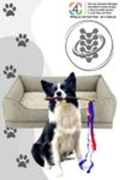 Nobby Orthopädisches Bett CALBU Beige 90x70 cm