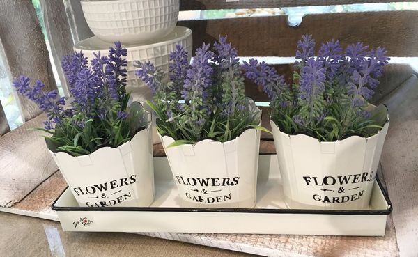 Sandra Rich Übertopf FLOWERS & GARDEN Set aus 3 Übertöpfen und einer Schale aus Metall
