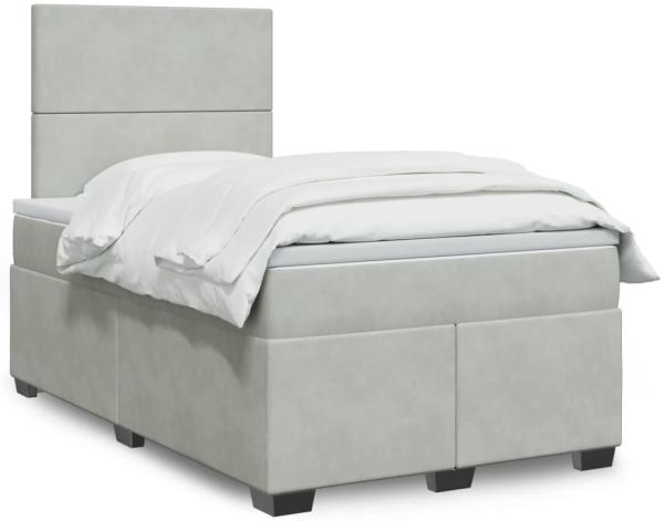 vidaXL Boxspringbett mit Matratze Hellgrau 120x200 cm Samt 3290876