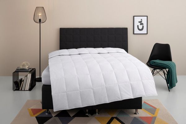 OTTO home Daunenbettdecke Nobyn, Bettdecke 135x200 cm und 155x220 cm, Füllung: 60% Daunen und 40% Federn, Bezug: 100% Baumwolle, Bettdecken, Sommer, Winter, Allergiker geeignet (Hausstauballergiker)