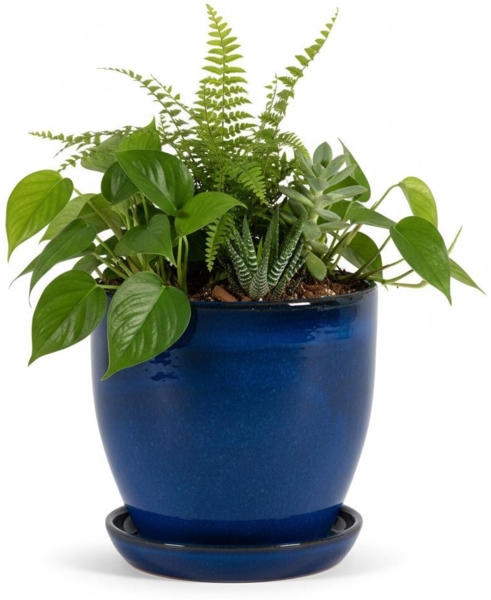 Blumentopf aus Keramik Modell "EggPot" 27cm Royal Blau mit Teller