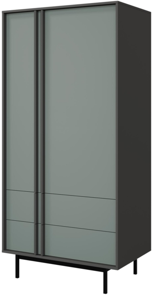 Kleiderschrank Agova 2D2S AL01 (Farbe: Anthrazit / Aloe)