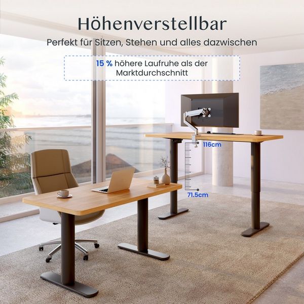 FLEXISPOT Schreibtisch Höhenverstellbarer Schreibtisch mit runden Tischbeinen (ästhetischer Sitz-Steh-Arbeitsplatz, mit ausgewogenen Proportionen und ruhiger Präsenz), Skulpturale Optik,100×60 cm