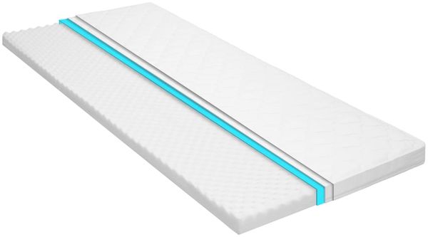vidaXL Matratzenauflage 100 x 200 cm Kaltschaum Ei-Profil 6 cm 282770