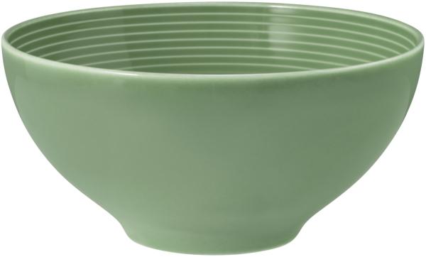 Seltmann Weiden Beat Color Glaze Müslischale ø 15,7 cm Salbeigrün - DS