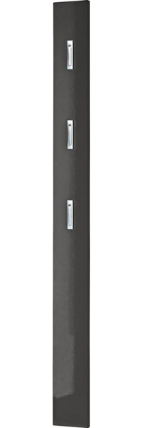 Germania Garderobenpaneel 3255-547, mit DREI ausklappbaren Kleiderhaken aus Metall, in Anthrazit Hochglanz, 15 x 170 x 3 cm (BxHxT)