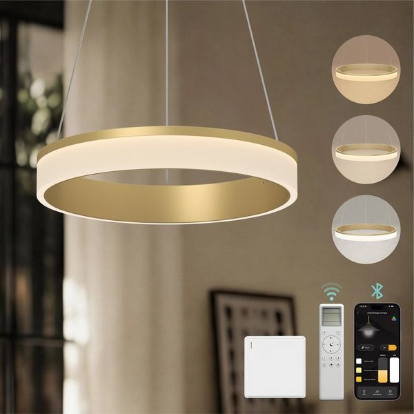 Mai & Mai Pendelleuchte Hängelampe LED-pendellampe 20W/30W stufenlos dimmbar Luvina02, LED-Deckenlampe mit drei Bedienungsmöglichkeiten