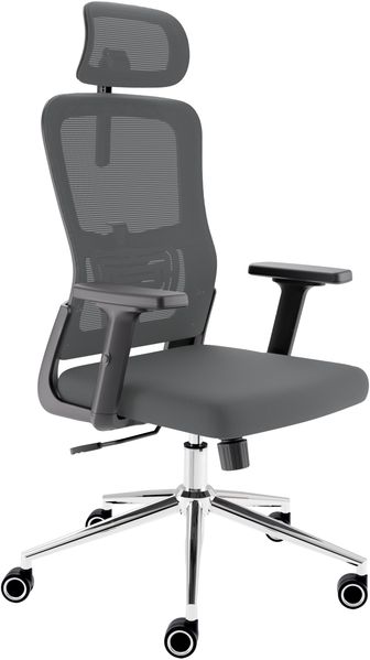 CLOUVOU BrightSeat, ergonomischer Bürostuhl, Rückenlehne mit Mesh Bezug, 2D-Armlehnen, 3D-Kopfstütze, FluxWheels, Anthrazit