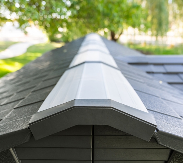 Lifetime Gerätehaus 16,5x7 Bild 5