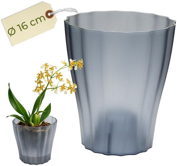 Orchideentopf Transparent Orchideen Übertopf Orchideentopf Plastik mit erhöhtem Boden Blumentopf Innen mit Stufenboden Durchsichtige Pflanztöpfe Ø 16 cm Rauchfarbig