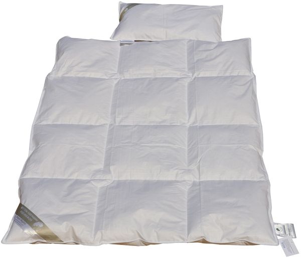 Hofmann Set Kinder Baby Ganzjahresdecke 100x135 + Kissen 40x60 100% Daunendecke