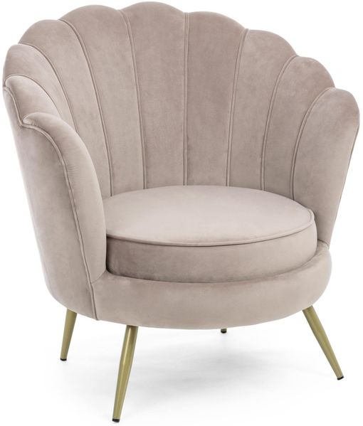 Sessel Giliola in Samt-Optik, modernes Design, hellgrau, gepolstert mit goldfarbenem Metallgestell