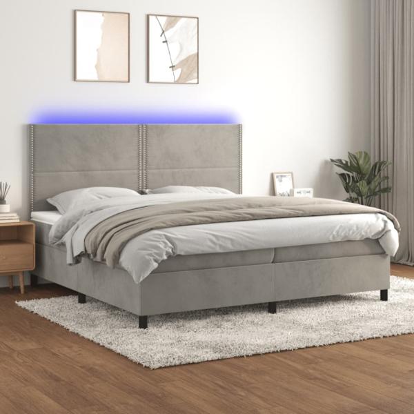 Boxspringbett mit Matratze & LED Samt Hellgrau 200 x 200 cm, Härtegrad: H2 [3136083]