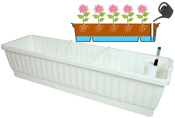 Heimwerkercenter Balkonkasten XXL Balkonkasten Venezia mit Bewässerung 60x22,5 cm Weiss Kunstoff