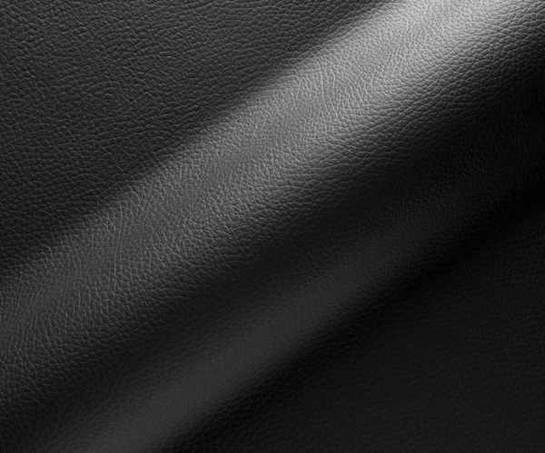 Esszimmerstuhl Greg-Flex Echt-Leder Schwarz Kreuzgestell konisch Edelstahl Taschenfederkern Bild 3