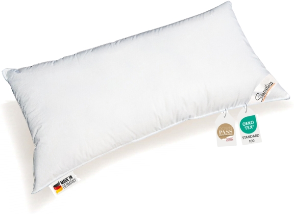 Kopfkissen 660g neue 15% Daunen 85% Federn Klasse 1 Daunenpass 40x80