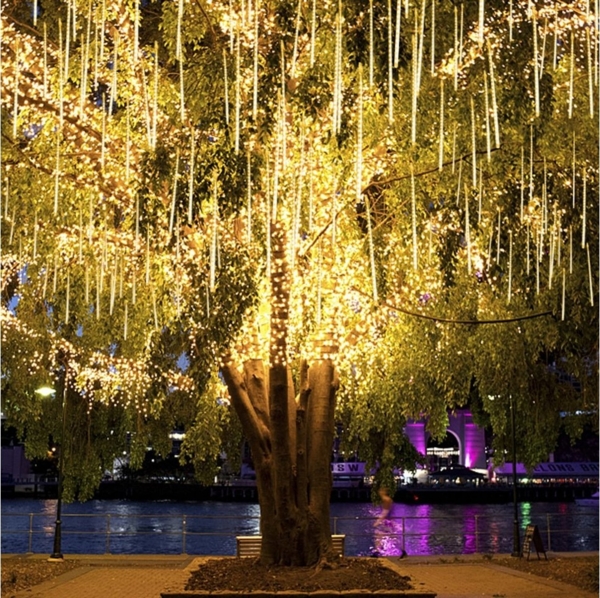 Rosnek LED-Lichterkette 30CM / 50CM LED Eiszapfen Lichterkette,Weihnachtsbeleuchtung Deko, 4 Farben, Warmweiß, Weiß, Mehrfarbig, Blau, 8 Röhren