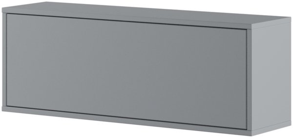 MEBLINI Hängeschrank für Horizontal Schrankbett Bed Concept - Wandschrank mit Regalen und Teleskopen - Wandregal - BC-29 - Grau Matt