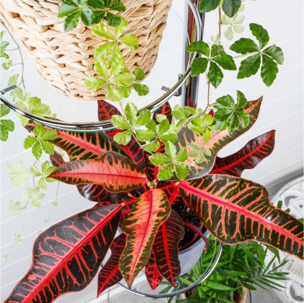 Gravidus Standregal Teleskop Blumenregal Metall Balkon Bild 2