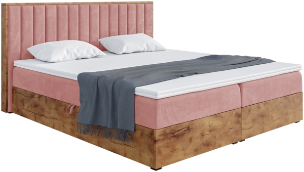 MEBLINI Boxspringbett LOFTY 4 160x200 cm mit Bettkasten - H3/Rosa Samt Polsterbett - Doppelbett mit Topper & Taschenfederkern-Matratze Bild 2