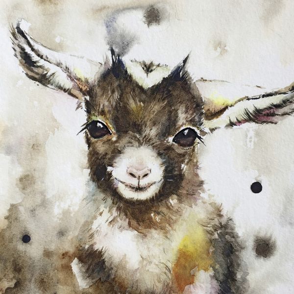 Keilrahmenbild Ziege 30 x 30 cm