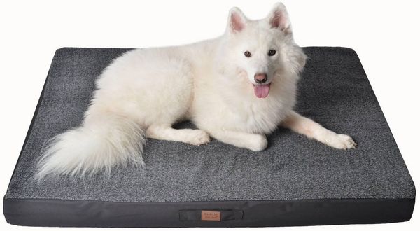 RAIKOU Tierbett Hundbett / Hunddecke / Tierbedarf, aus kuscheligem Plüsch, Anti-Rutsch weiche Liegefläche