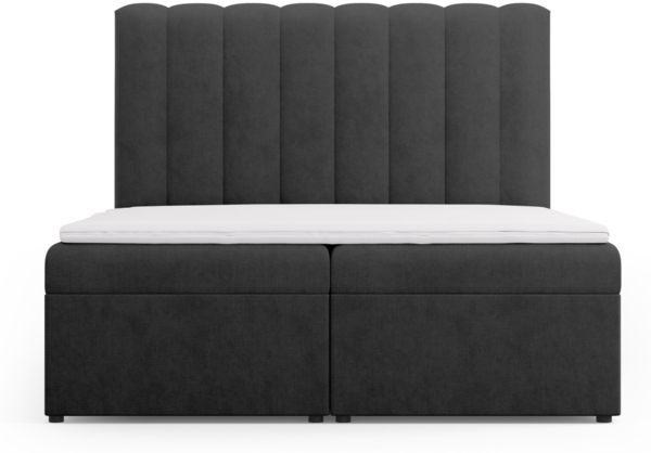 Micadoni Boxspringbett Kelp Strukturierter Stoff Anthrazit 160x200