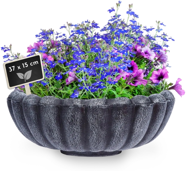 Pflanzschale MARGARITE, grau, Größe S